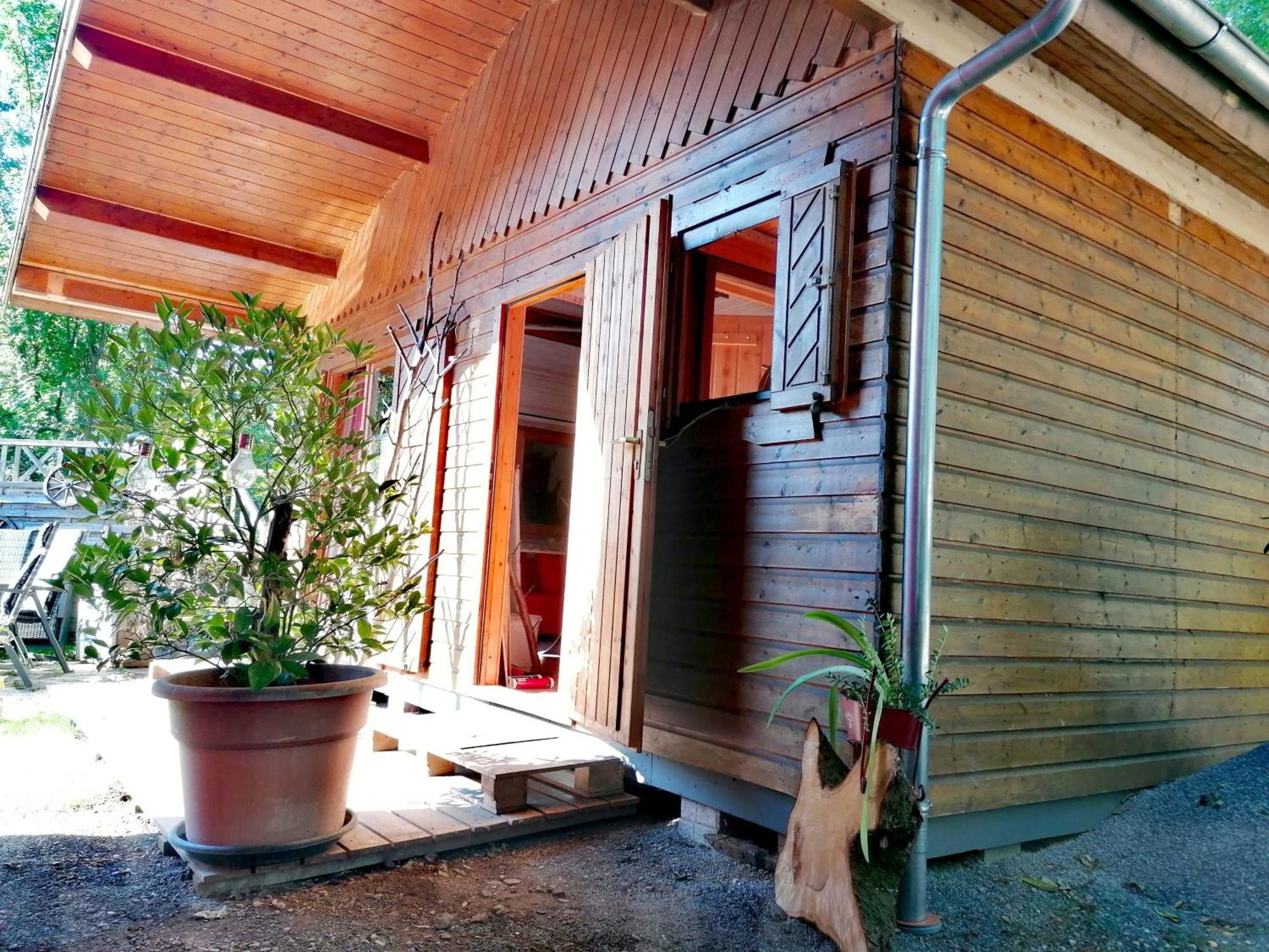 Kleines Studio Im Eichenwaeldchen, 1 Zimmer Kueche Bad Friedrichsgrun Exterior photo